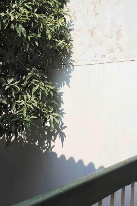 Spacieux Appartement 4 Couchages, Terrasse Privee Narbonne Exterior photo
